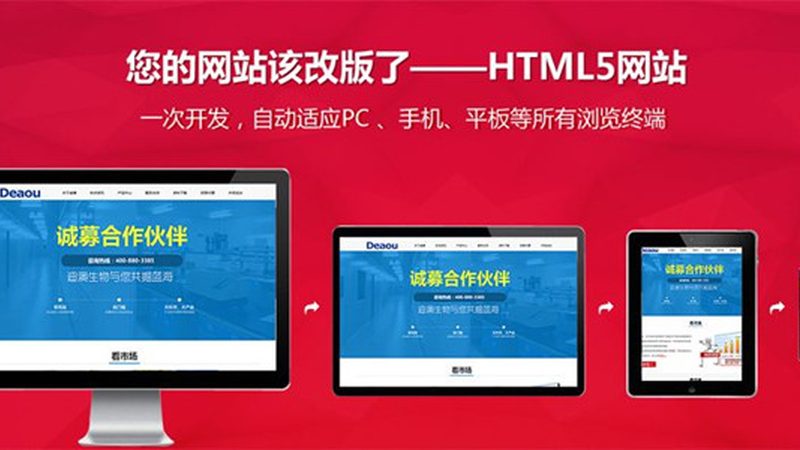 企业网站建设费用构成解析：揭秘成本背后的秘密